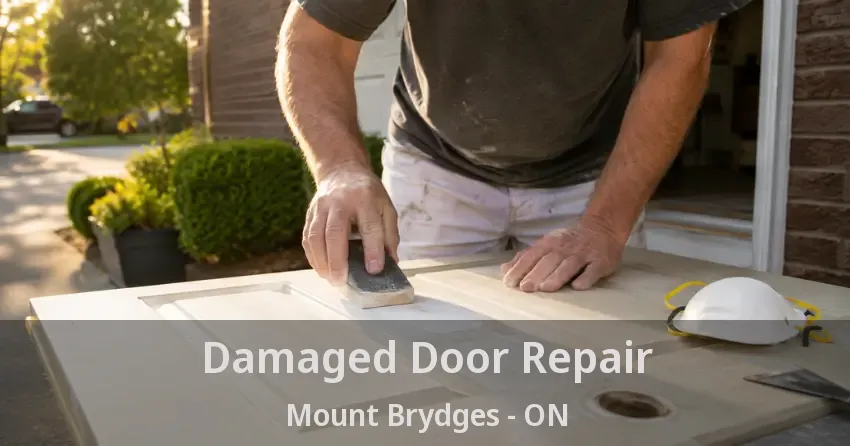 Damaged Door Repair Mount Brydges - ON