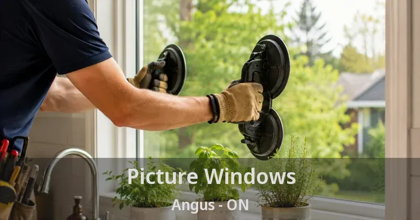 Picture Windows Angus - ON