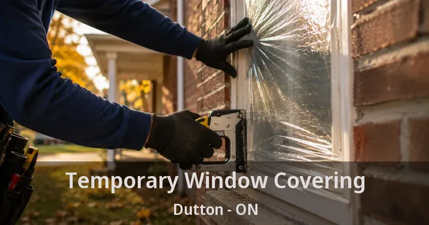 Temporary Window Covering Dutton - ON