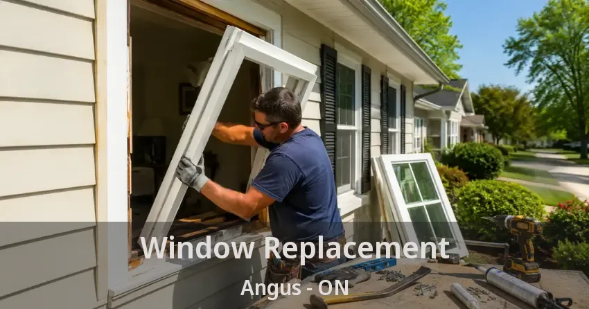 Window Replacement Angus - ON